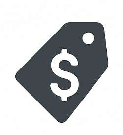 Pricing Icon